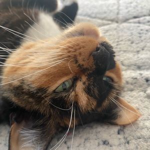 Meet your Posher, Maddy